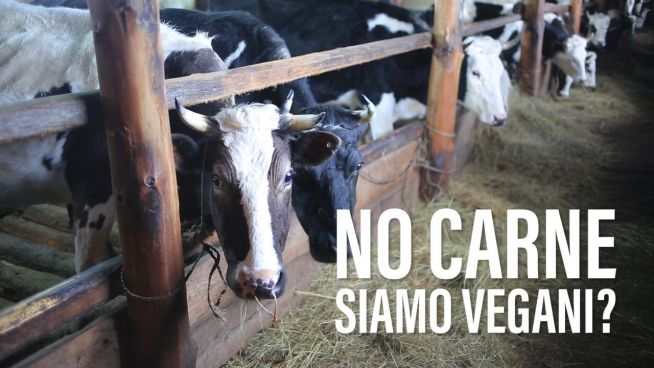 Diventare vegani per salvare il pianeta? Ecco la verità