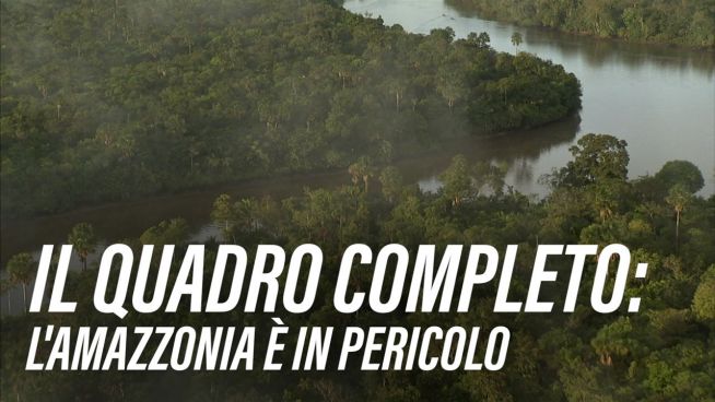 Bolsonaro potrebbe annientere l'Amazzonia