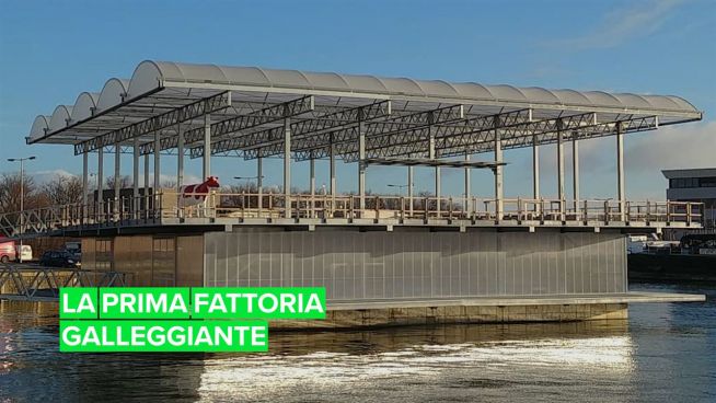 La fattoria del futuro? Galleggia sull'acqua