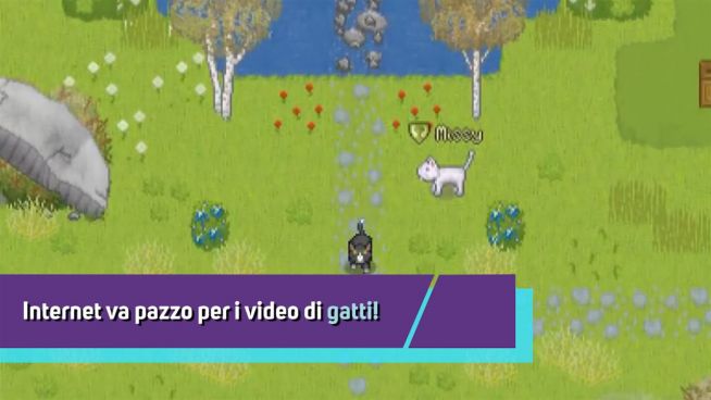 Gatti! Dopo internet, conquisteranno anche i videogames