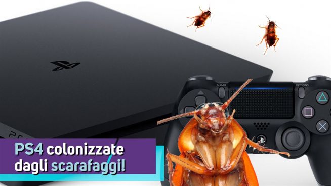 Avete mai guardato nella vostra PS4?