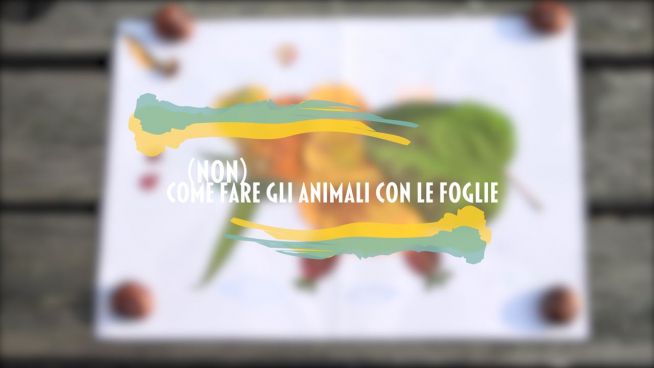 Come (non) fare gli animali con le foglie: episodio 1