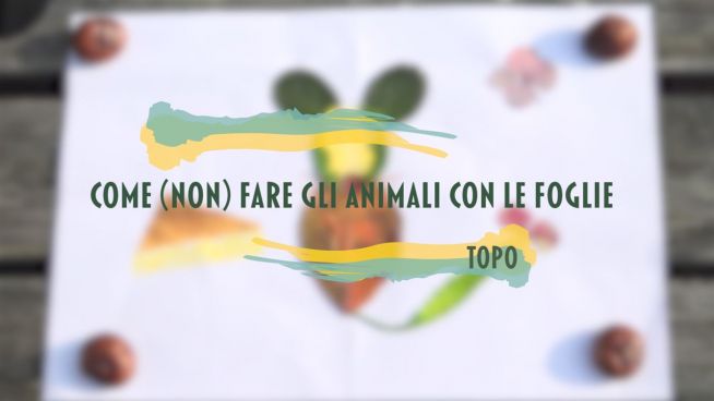 Come (non) fare gli animali con le foglie: episodio 3