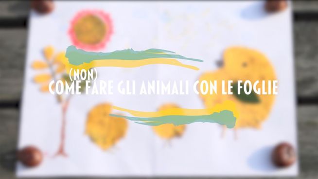 Come (non) fare gli animali con le foglie: episodio 2